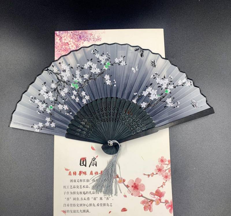 Lady's Folding Fan Ancient Style Small Folding Fan - Amazhona 