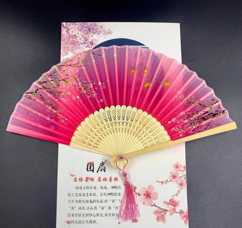 Lady's Folding Fan Ancient Style Small Folding Fan - Amazhona 