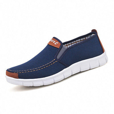 Canvas shoes casual shoes shoes - Amazhona 