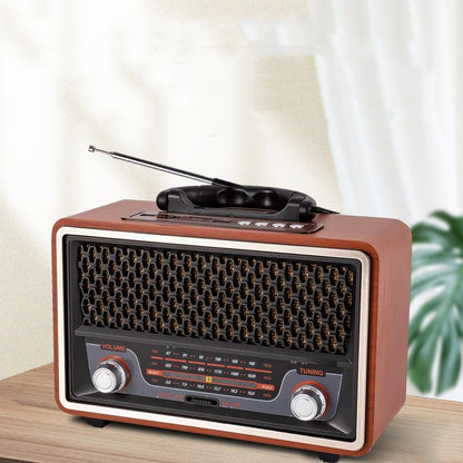 Simple And Multifunctional Home Fashion Radio - Amazhona 