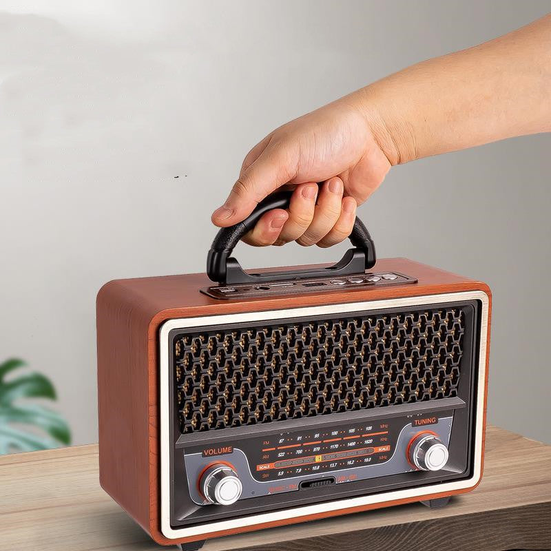 Simple And Multifunctional Home Fashion Radio - Amazhona 