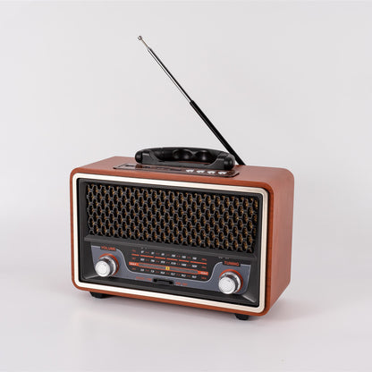 Simple And Multifunctional Home Fashion Radio - Amazhona 