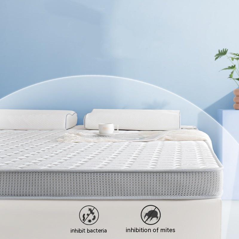 Household Memory Sponge Latex Mattress - Amazhona 