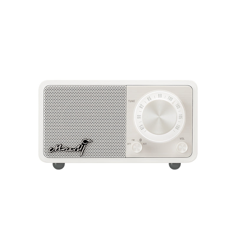 Bluetooth portable speaker - Amazhona 