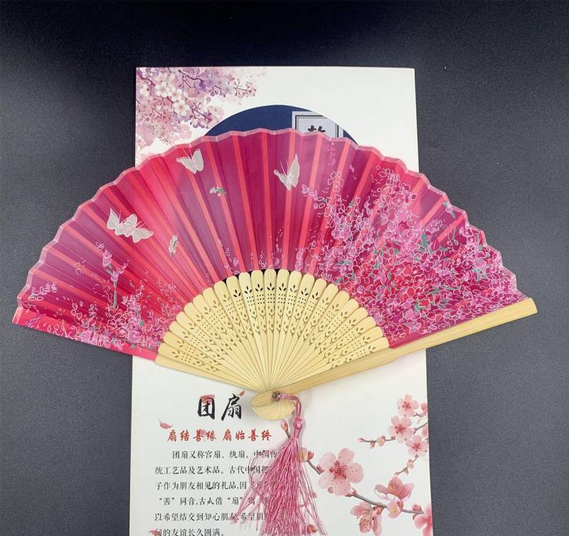 Lady's Folding Fan Ancient Style Small Folding Fan - Amazhona 