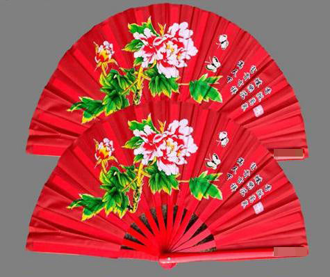 Kung Fu Bamboo Bone Fan - Amazhona 