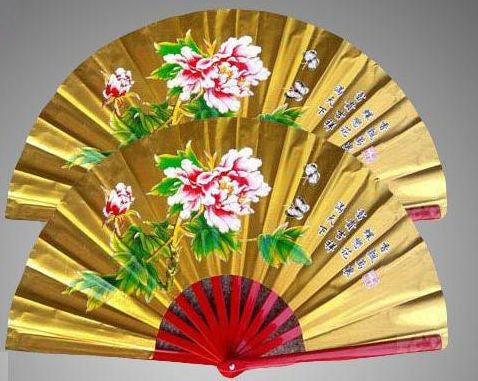 Kung Fu Bamboo Bone Fan - Amazhona 