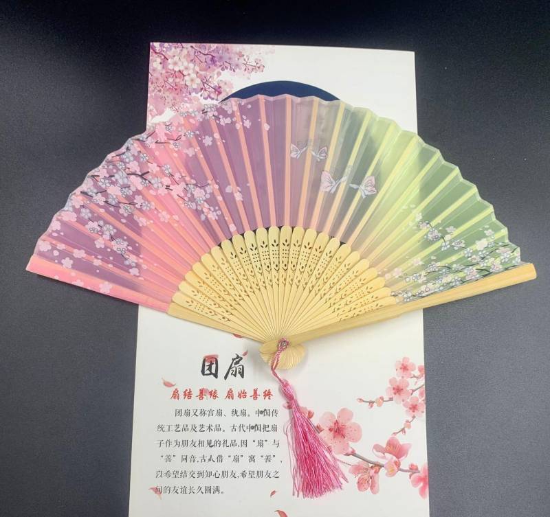 Lady's Folding Fan Ancient Style Small Folding Fan - Amazhona 