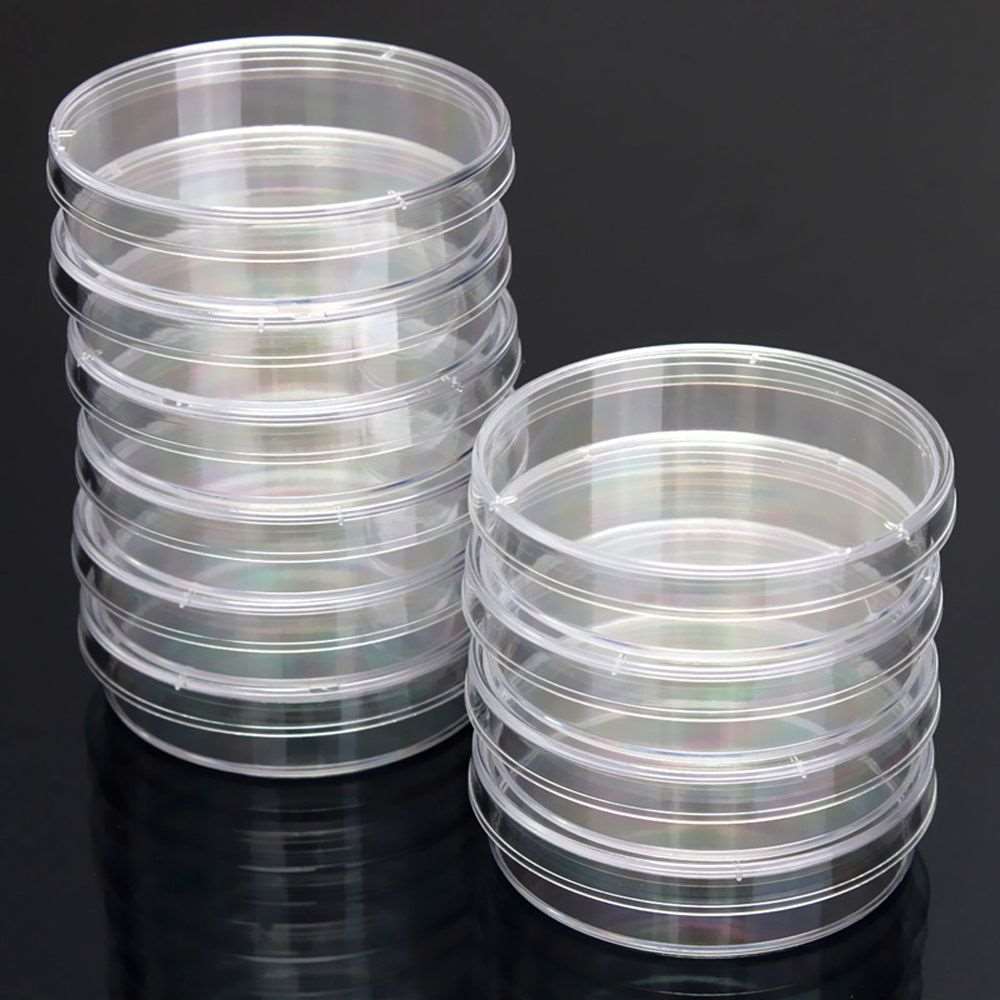 10Pcs Plastic Sterile Petri Dishes Bacteria Culture Dish with Lids 55x15mm for Laboratory Biological Scientific School Supplies - Amazhona 