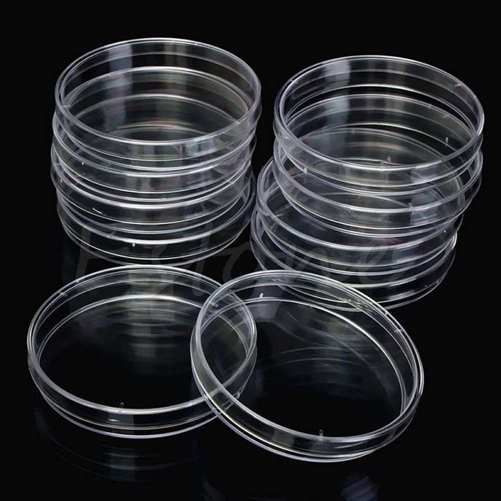 10Pcs Plastic Sterile Petri Dishes Bacteria Culture Dish with Lids 55x15mm for Laboratory Biological Scientific School Supplies - Amazhona 