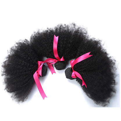 African small wig - Amazhona 