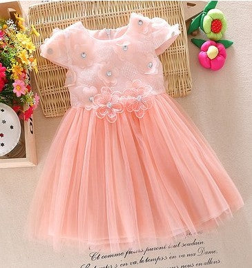 Baby Dress Girl Summer Short Sleeved Princess Skirt - Amazhona 