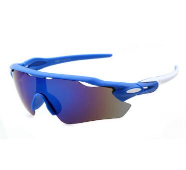 Cycle ELITE Polarized Sunglasses - Amazhona 