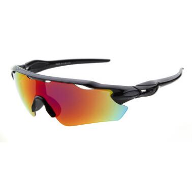 Cycle ELITE Polarized Sunglasses - Amazhona 