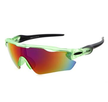 Cycle ELITE Polarized Sunglasses - Amazhona 