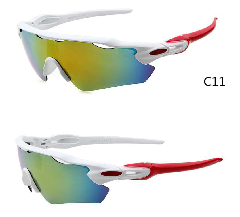 Cycle ELITE Polarized Sunglasses - Amazhona 