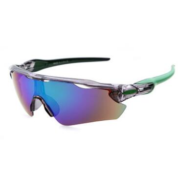 Cycle ELITE Polarized Sunglasses - Amazhona 