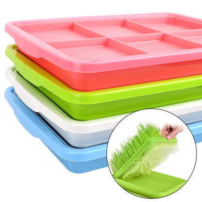 Double Layer Hydroponic Bean Sprouts Pots Seedling Tray Growing Wheat Seedlings Nursery Pots Planting Dishes Home Garden Plate - Amazhona 