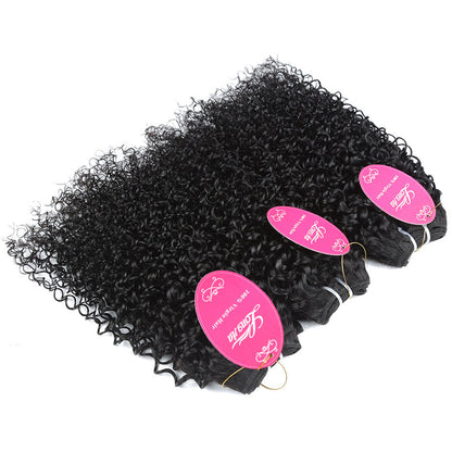 Hair Bundles Kinky Curly Hair Buns Brazilian Real Hair Curly Can Be Dyed - Amazhona 