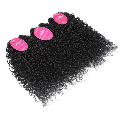 Hair Bundles Kinky Curly Hair Buns Brazilian Real Hair Curly Can Be Dyed - Amazhona 