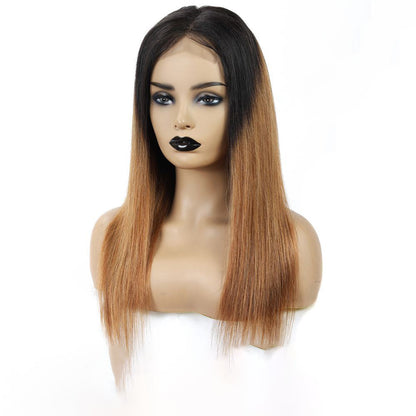 Malaysian Remy Martin Hair Gradient - Amazhona 