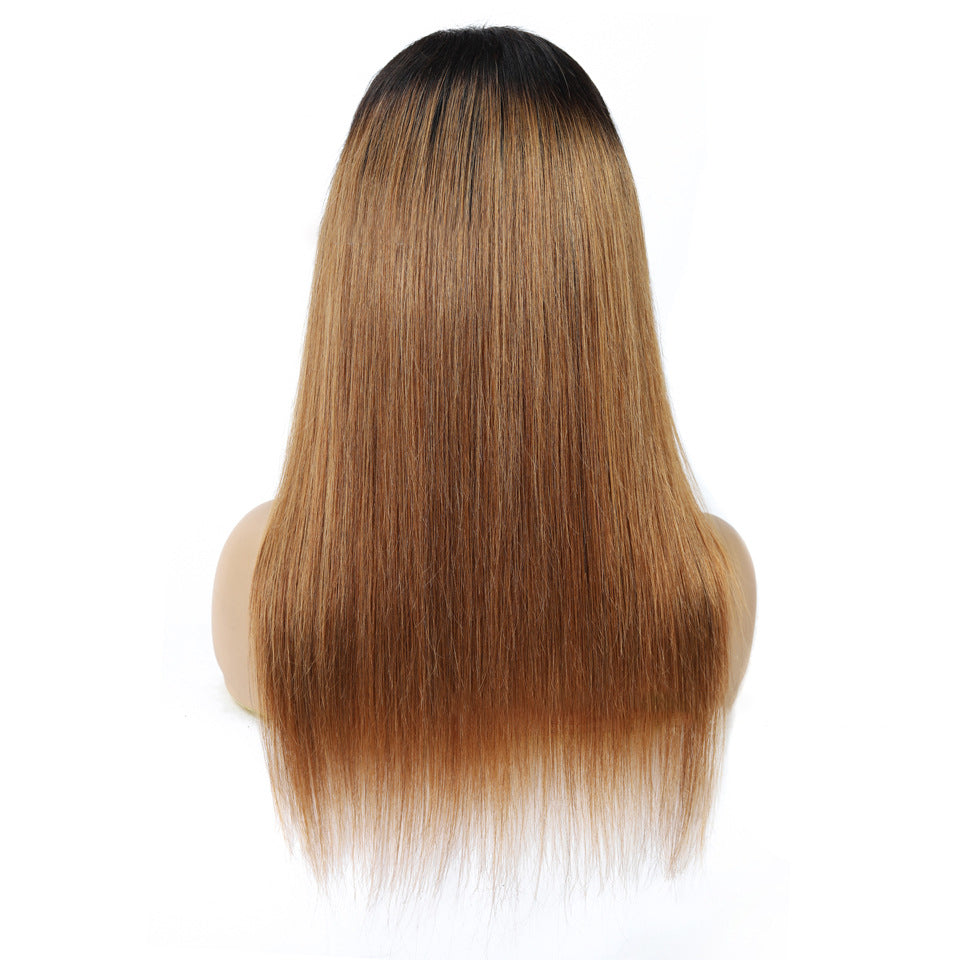 Malaysian Remy Martin Hair Gradient - Amazhona 