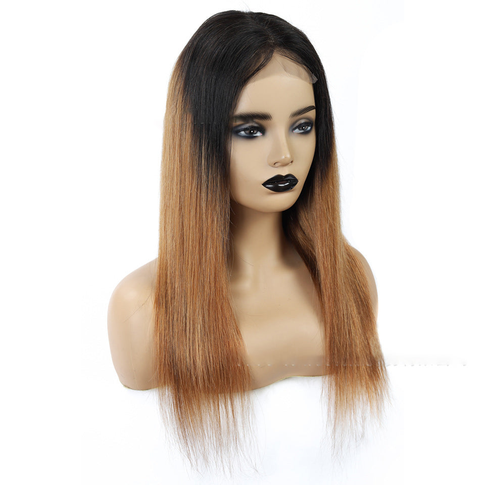 Malaysian Remy Martin Hair Gradient - Amazhona 