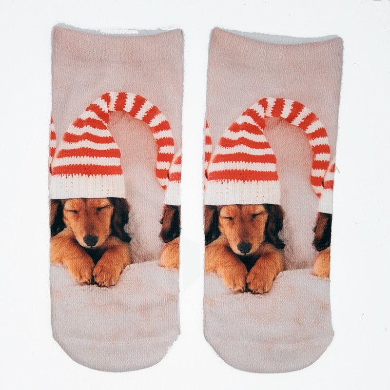 Funny Kawaii 3D Pug Dog Print Short Socks Cotton Fashion Harajuku Hip Hop Cute Japanese Fashion Soft Women Animal Slippers Socks - Amazhona 