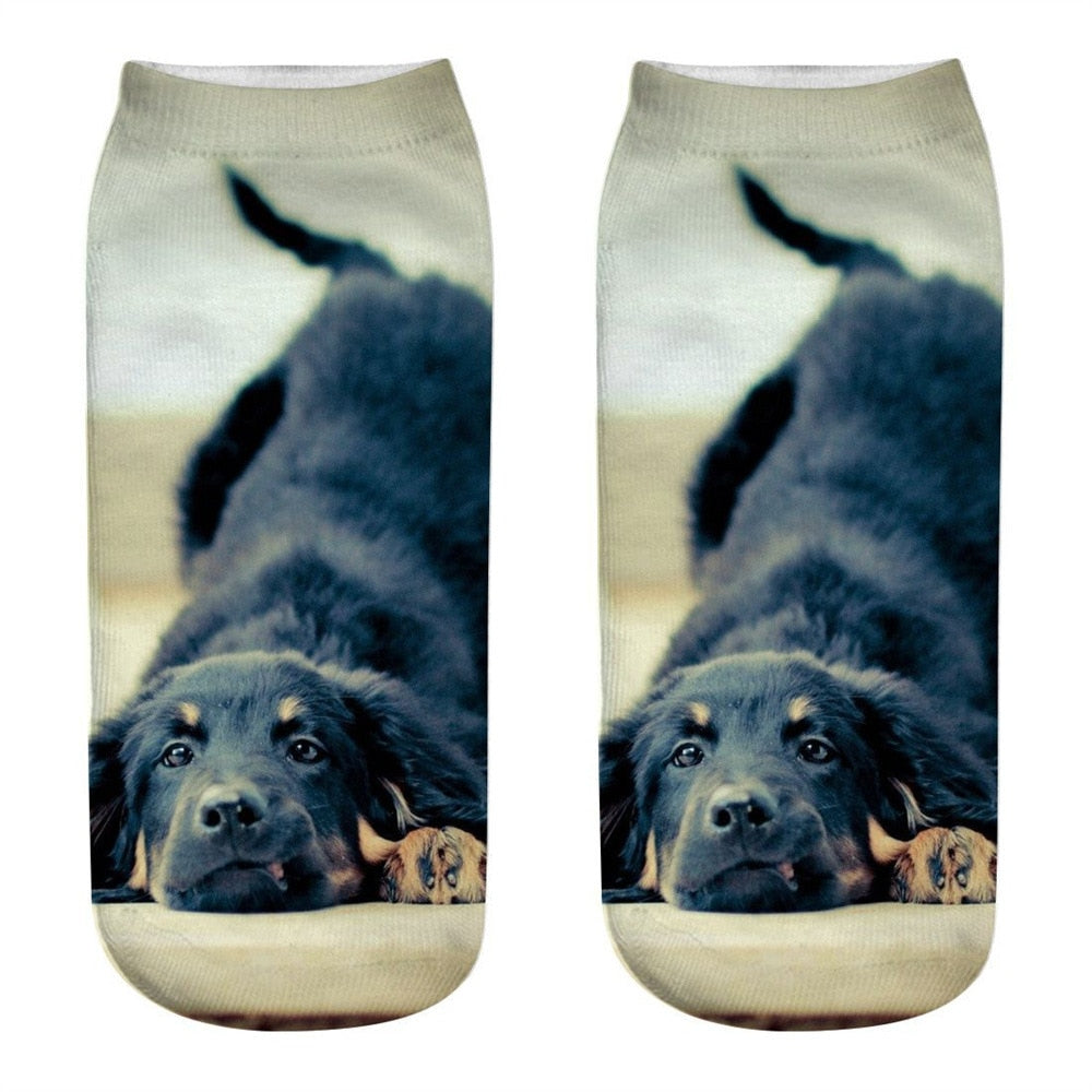 Funny Kawaii 3D Pug Dog Print Short Socks Cotton Fashion Harajuku Hip Hop Cute Japanese Fashion Soft Women Animal Slippers Socks - Amazhona 