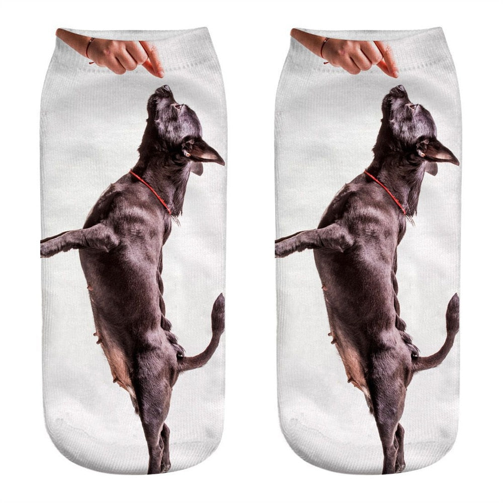 Funny Kawaii 3D Pug Dog Print Short Socks Cotton Fashion Harajuku Hip Hop Cute Japanese Fashion Soft Women Animal Slippers Socks - Amazhona 