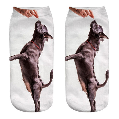 Funny Kawaii 3D Pug Dog Print Short Socks Cotton Fashion Harajuku Hip Hop Cute Japanese Fashion Soft Women Animal Slippers Socks - Amazhona 