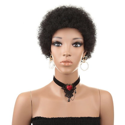 Short Human Hair Wig Natural Afri Kinky Curly Hair Wigs - Amazhona 