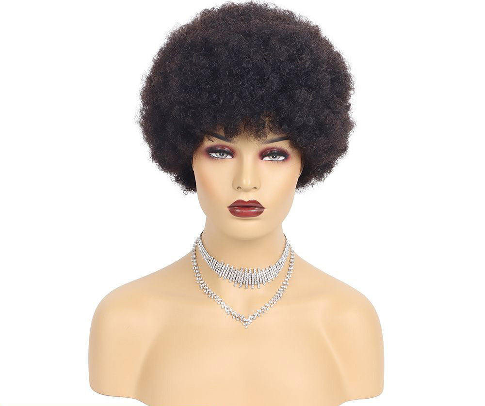 Short Wigs Human Hair Afro Kinky Curly - Amazhona 