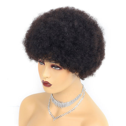 Short Wigs Human Hair Afro Kinky Curly - Amazhona 