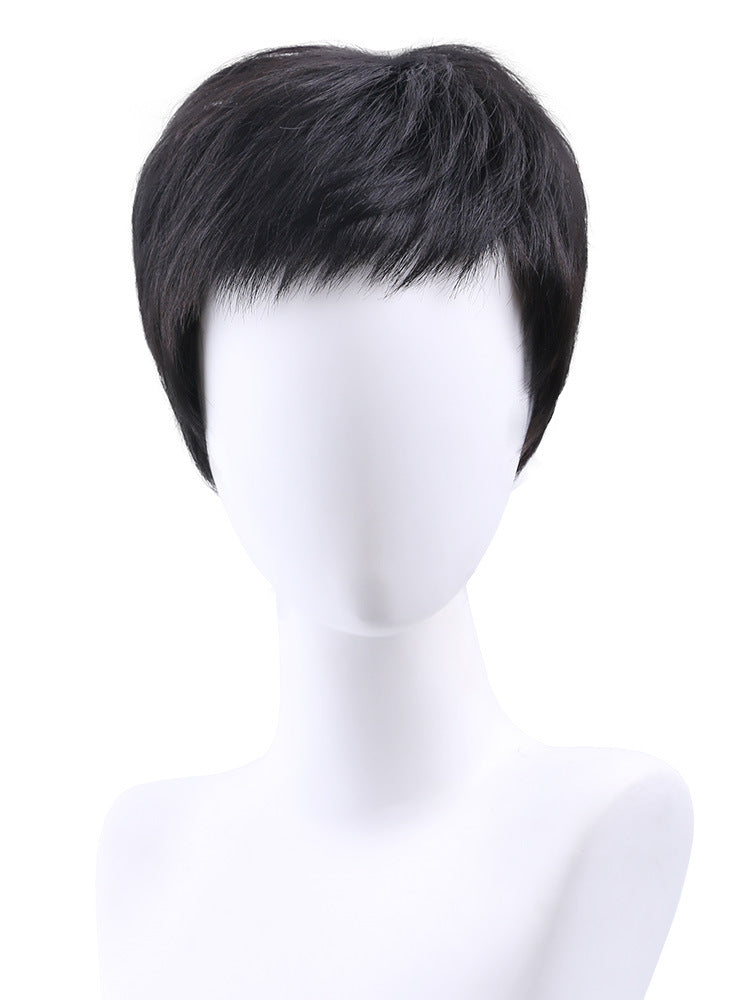 Wig Sets Real Hair Natural Fluffy Replacement Male - Amazhona 